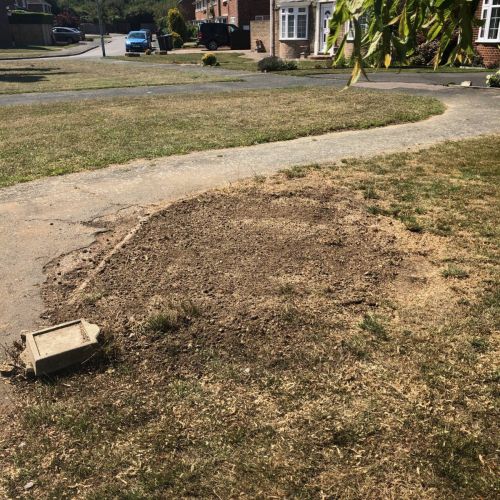 Stump Grinding Herne Bay