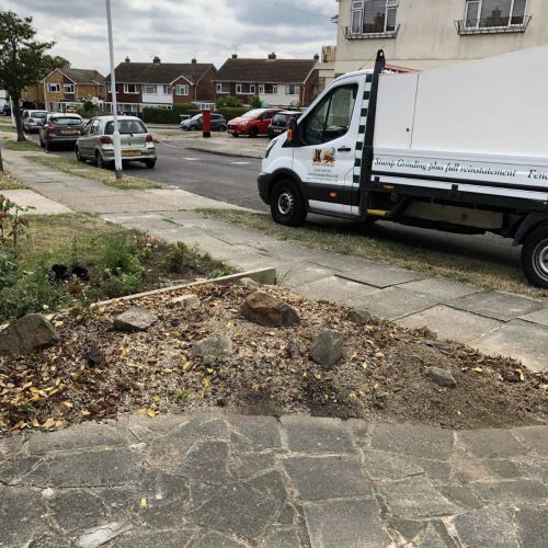 Stump Grinding Whitstable