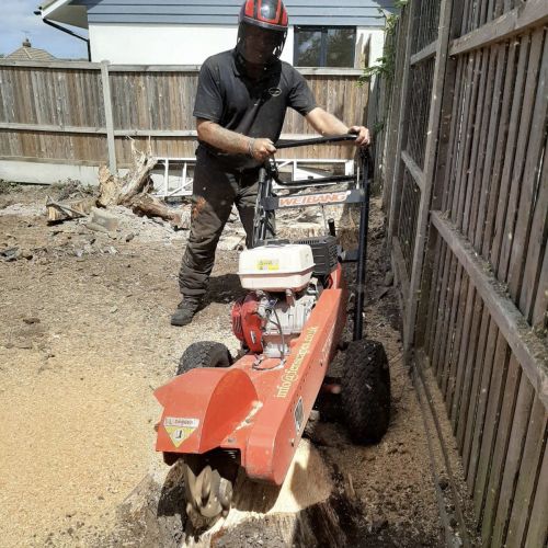 Stump Grinding Walmer Deal