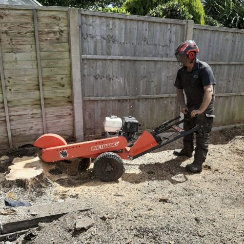 Stump Grinding Walmer Deal