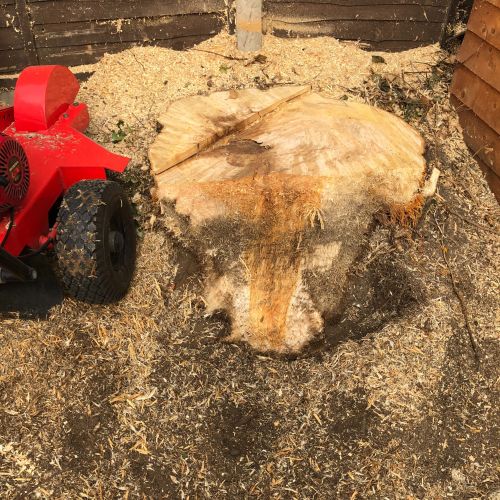 Stump Grinding Sturry