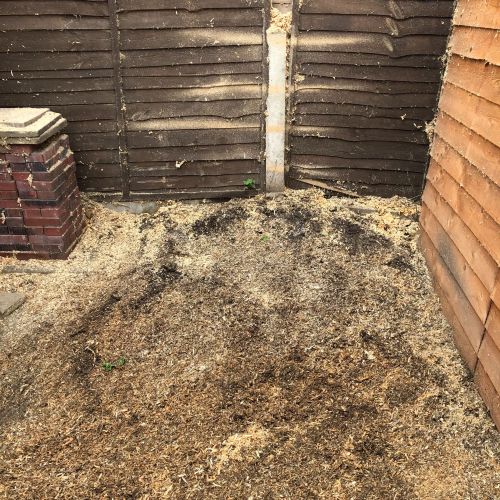 Stump Grinding Sturry