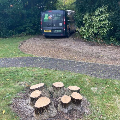 Stump Grinding Herne Bay