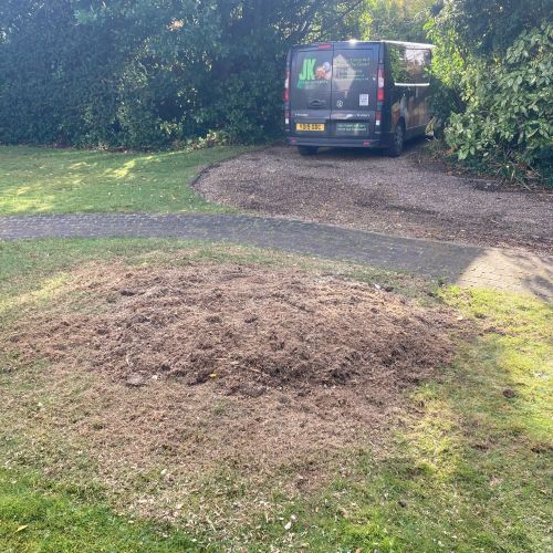 Stump Grinding Herne Bay