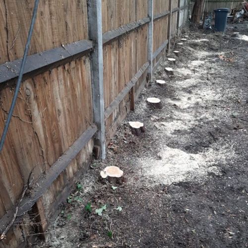 Stump Grinding Deal