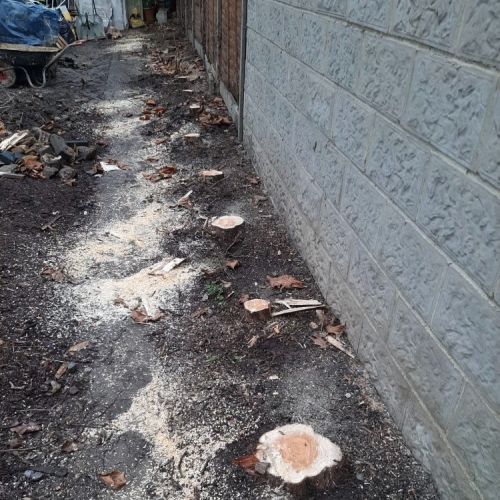 Stump Grinding Deal