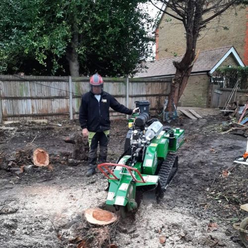 Stump Grinding Deal