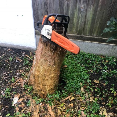 Stump Grinding Canterbury