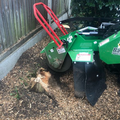 Stump Grinding Canterbury