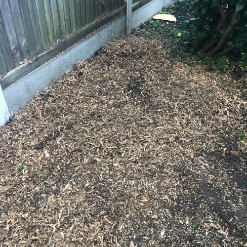 Stump Grinding Canterbury