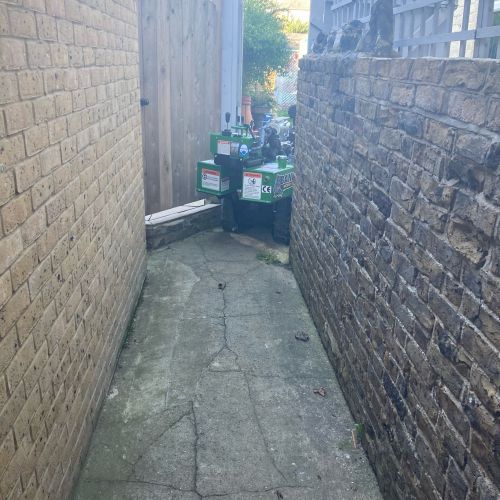 Stump Grinding Minster Thanet