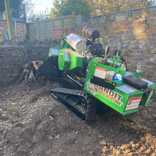 Stump Grinding Minster Thanet