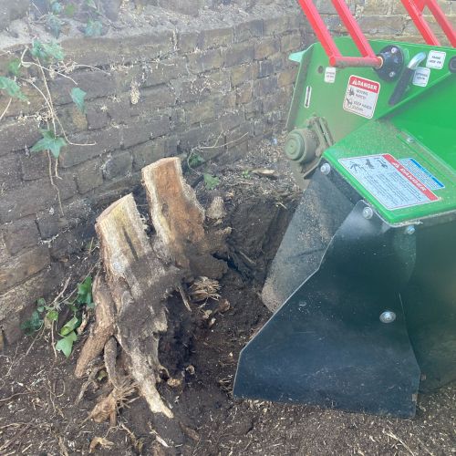 Stump Grinding Minster Thanet