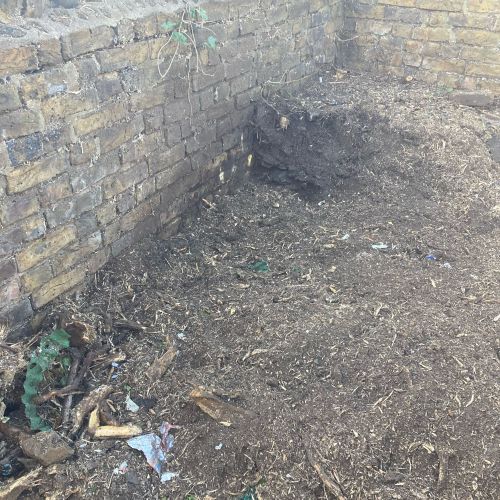 Stump Grinding Minster Thanet
