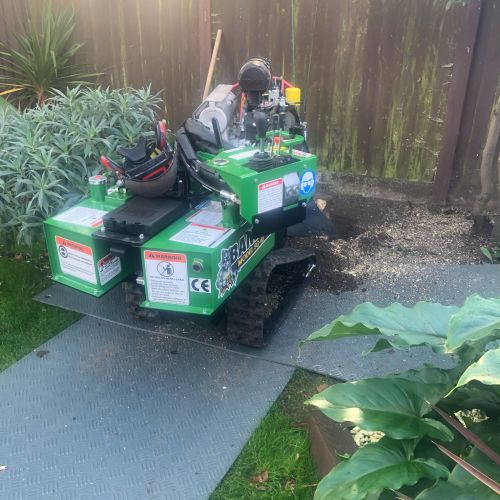 Stump Grinding Margate