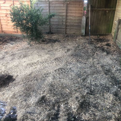 Stump Grinding Folkestone