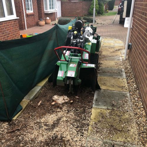 Stump Grinding Cliftonville Margate 