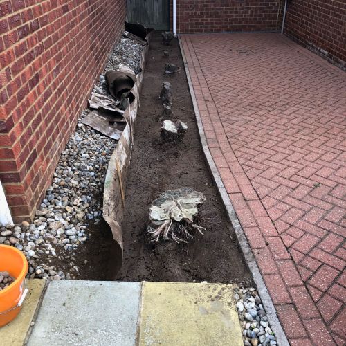 Stump Grinding Cliftonville Margate 
