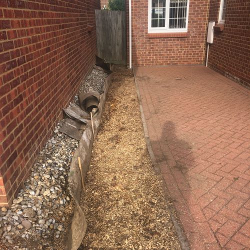 Stump Grinding Cliftonville Margate 
