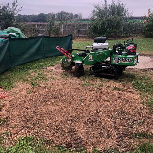Stump Grinding Ramsgate