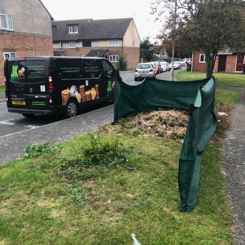 Stump Grinding Canterbury