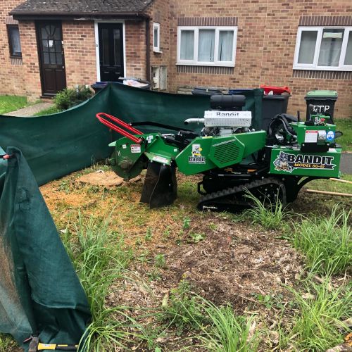 Stump Grinding Canterbury
