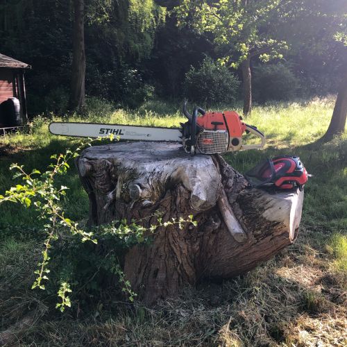 Stump Grinding Selling Faversham