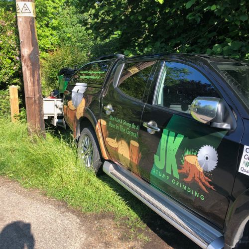 Stump Grinding Selling Faversham