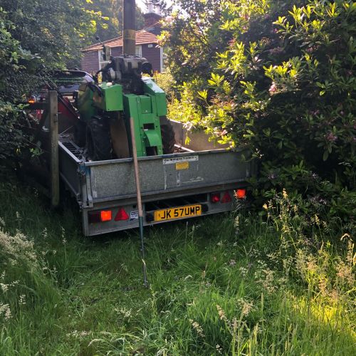 Stump Grinding Selling Faversham