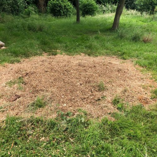 Stump Grinding Selling Faversham