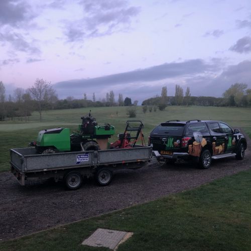 Stump Grinding Chestfield