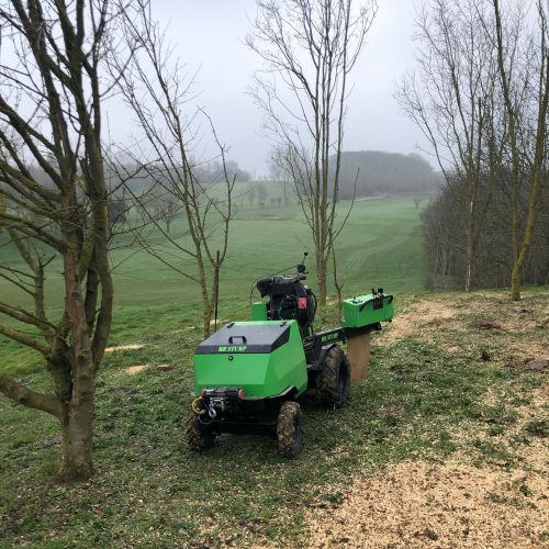 Stump Grinding Chestfield