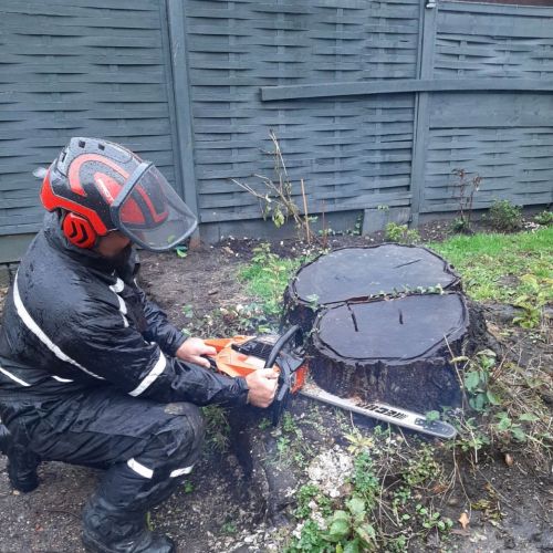 Stump Grinding Thanet