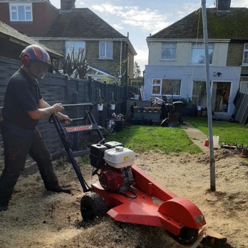 Stump Grinding Thanet