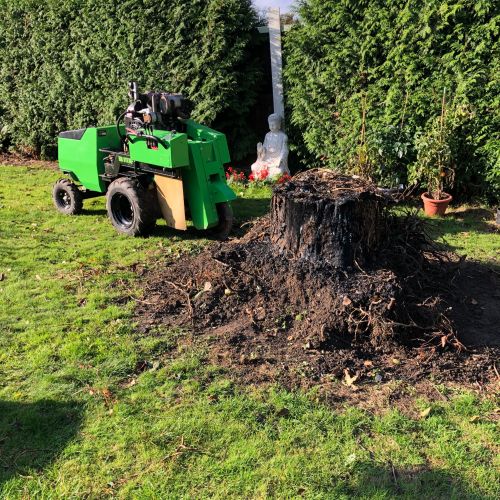 Stump Grinding Canterbury