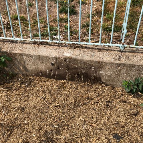Stump Grinding Dover