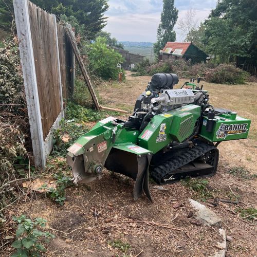 Stump Grinding Canterbury