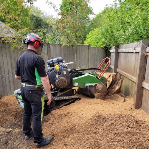 Stump Grinding Ashford