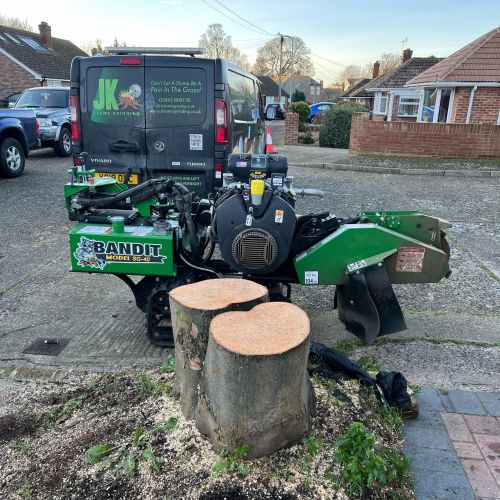 Stump Grinding Ramsgate Thanet