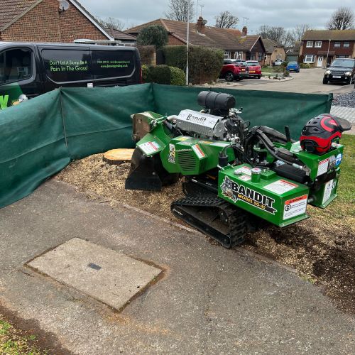 Stump Grinding Birchington Thanet