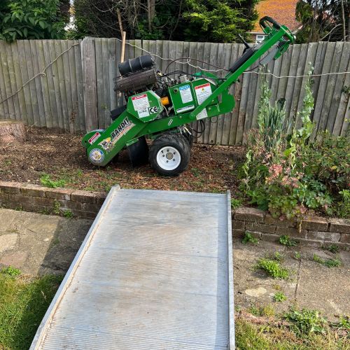 Stump Grinding Herne Bay