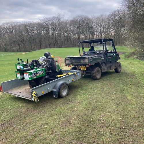 Stump Grinding Chestfield