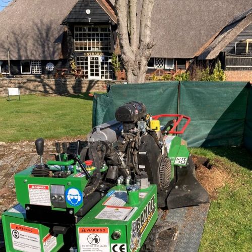 Stump Grinding Chestfield