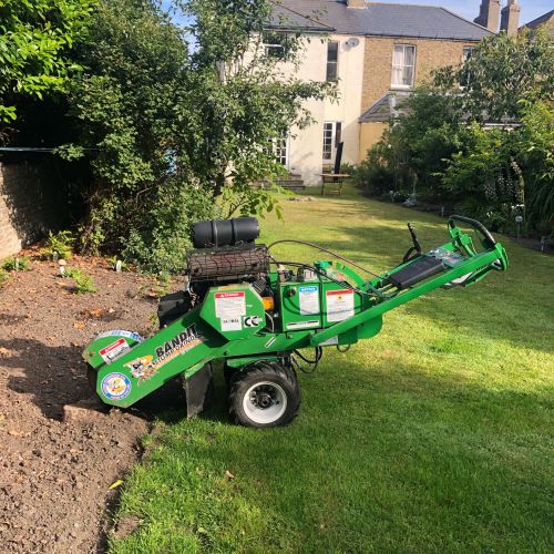 Stump Grinding Deal