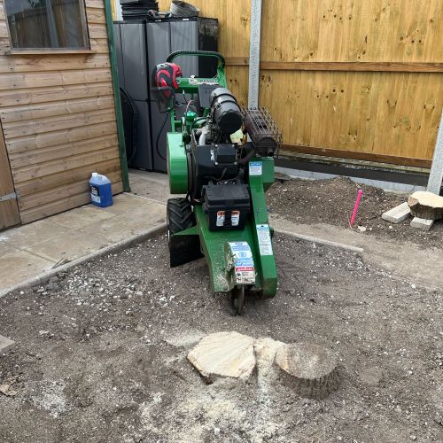 Stump Grinding Hythe